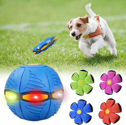 Dog Frisbee Red Blue Pink or Green