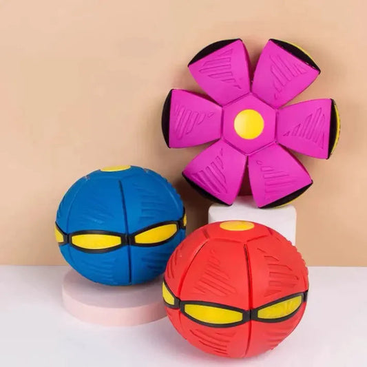 Dog Frisbee Red Blue Pink or Green