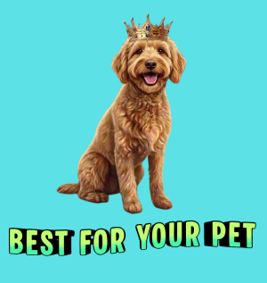 Best For Your Pet