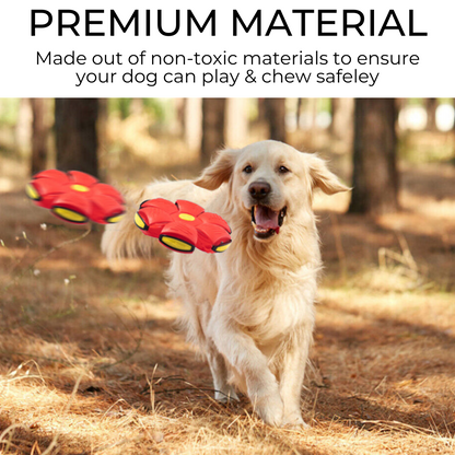 Dog Frisbee Red Blue Pink or Green